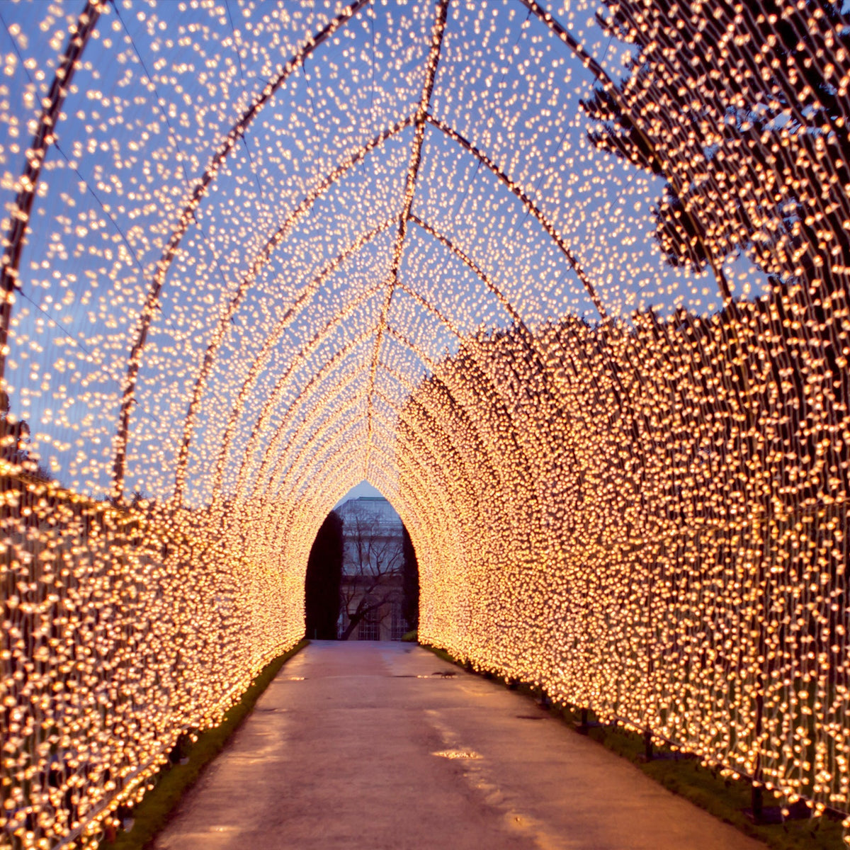 10ftx30ft Warm White 900 LED Curtain String Lights with 8 Modes & Inline Memory Controller, Plug In Waterproof Fairy Lights for Indoor Outdoor Backdrop