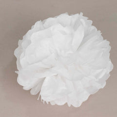 6 Pack 10" White Tissue Paper Pom Poms Flower Balls, Ceiling Wall Hanging Decorations